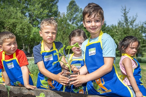 edeka_motiv_gemüsebeete-für-kids_saisonstart-2024