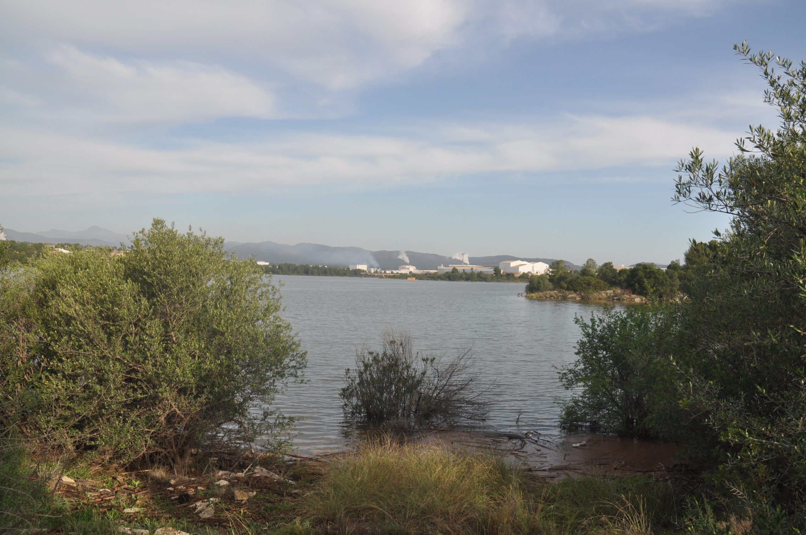 Mª Cristina 17.11.24 nach DANA (5)