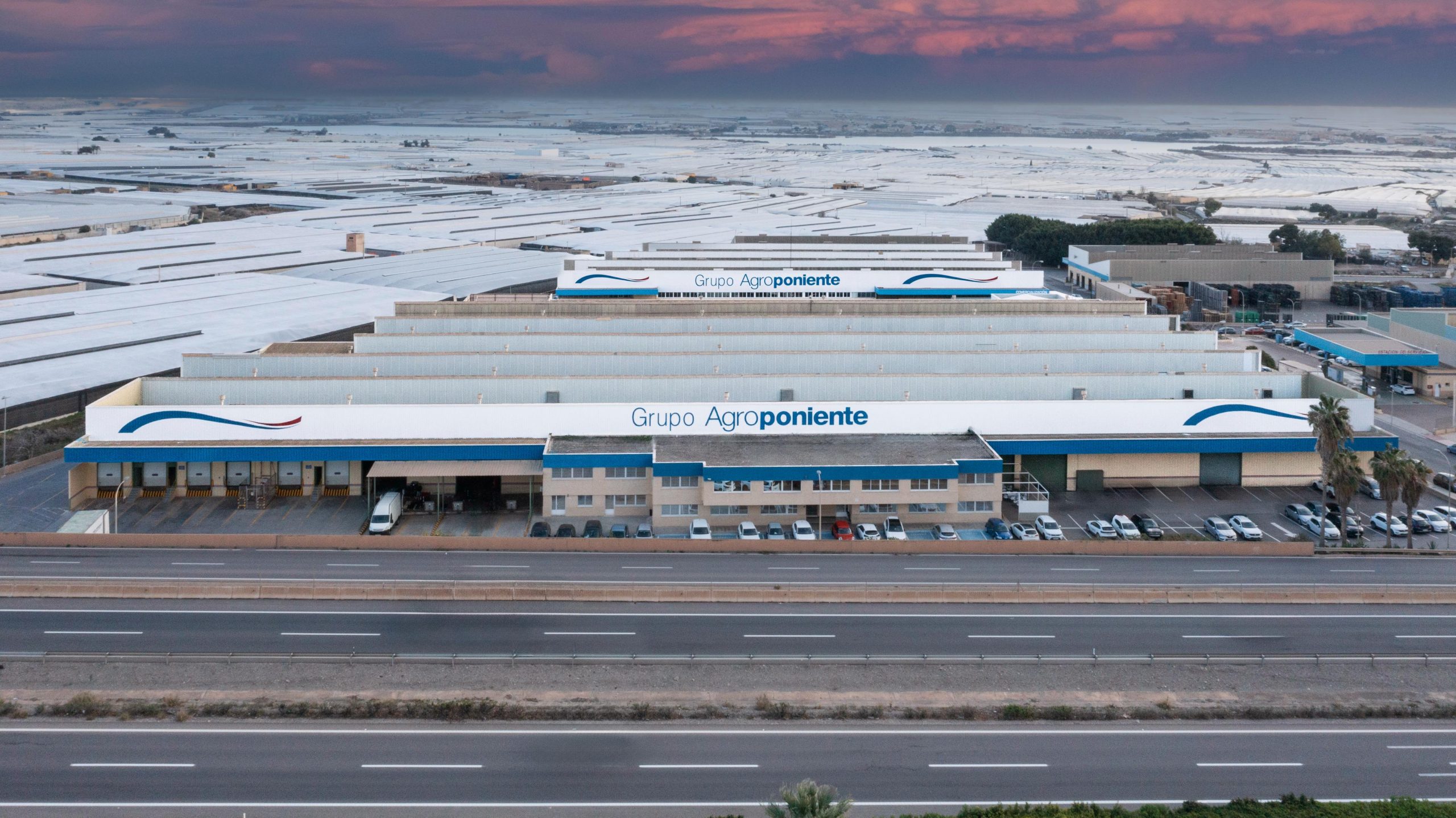 Grupo Agroponiente Planung Frühjahrskampagne