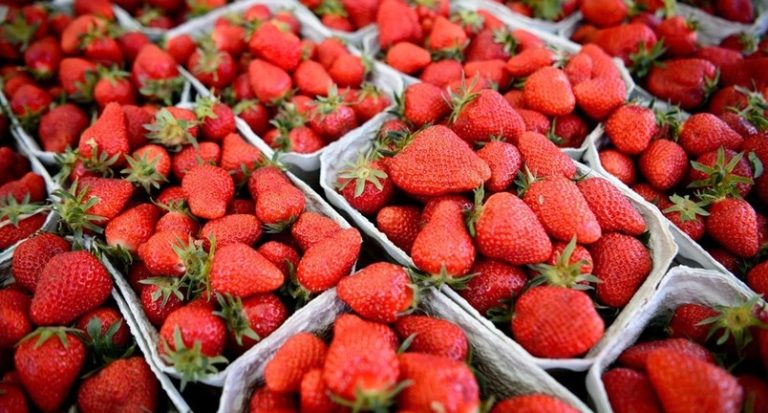 fresas bw d