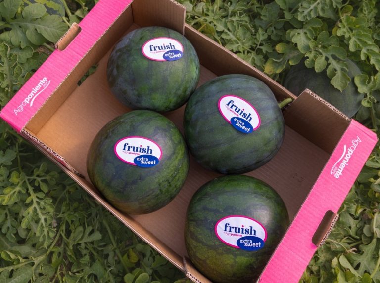 sandia agroponiente