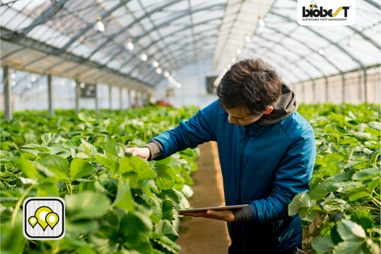 Biobest Crop Scanner