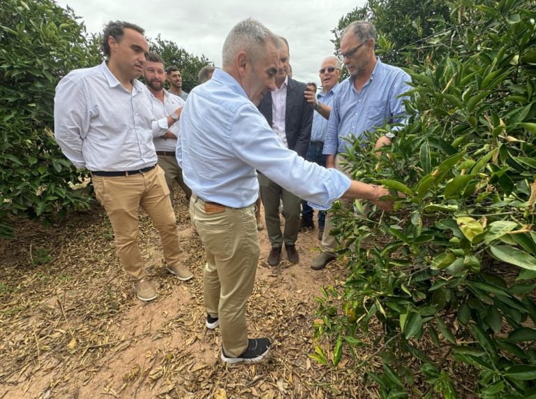 visita granizo burriana