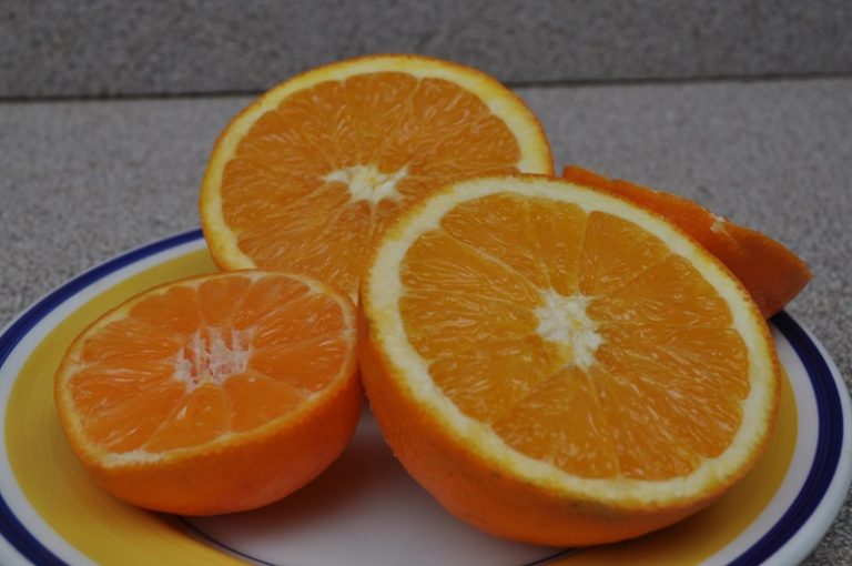 citricos-precio-768x510