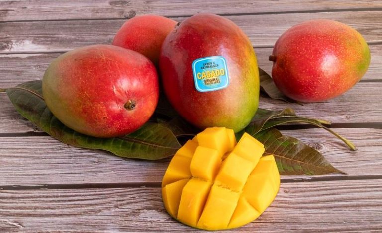 mangos reyes gutierrez