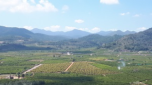 campocitricoscastellon