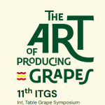 Congreso uvas Murcia