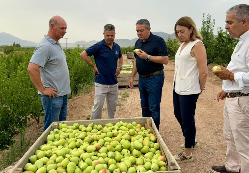 pera jumilla