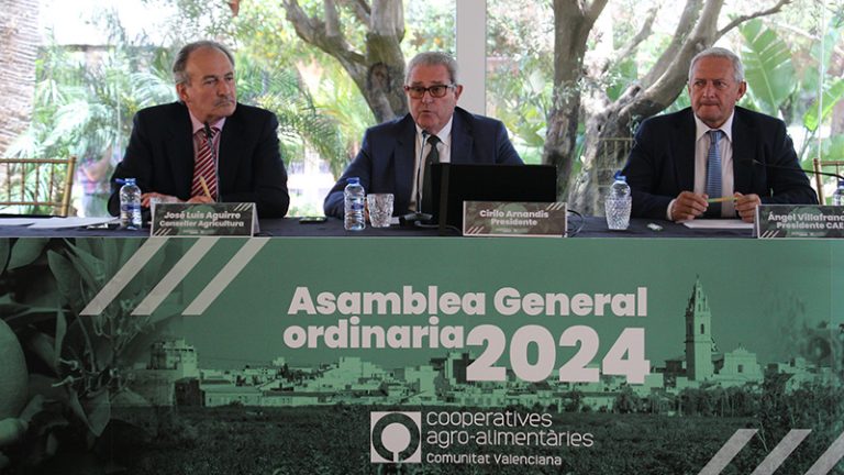 Asamblea general ordinario 2024 Valencia