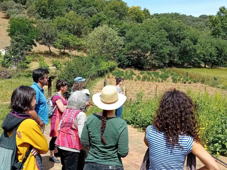 ecologiaandcurso