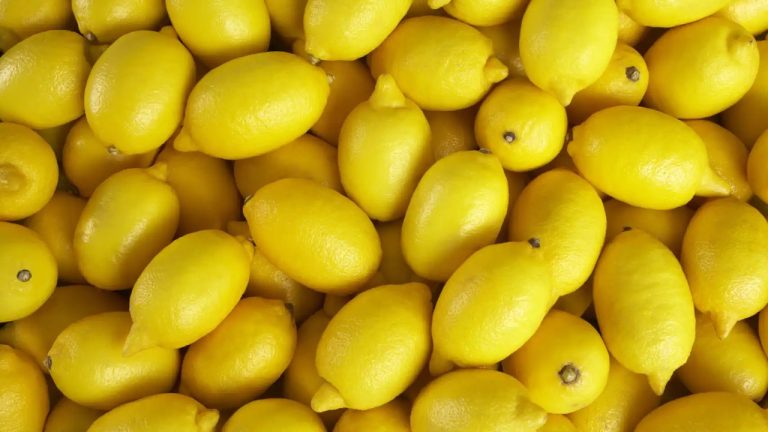 limones Asaja Murcia