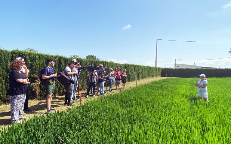 Irta presentacion en campo