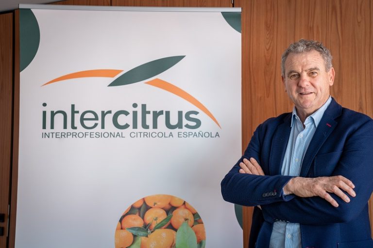 Celestino Recatalà nuevo pres. intercitrus