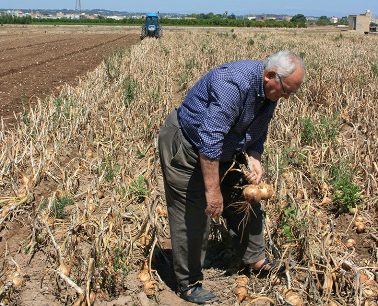 Valencia envejecimiento agricultura