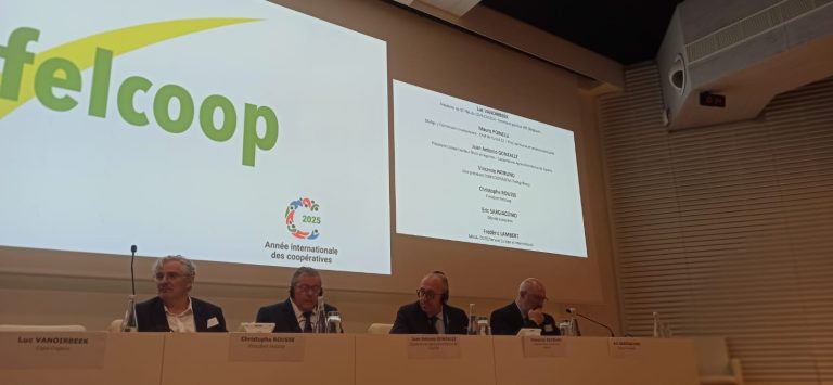 ASAMBLEA FELCOOP