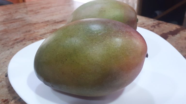 mango