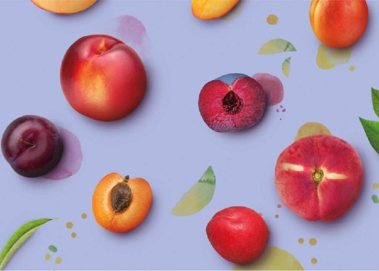 psb fruta