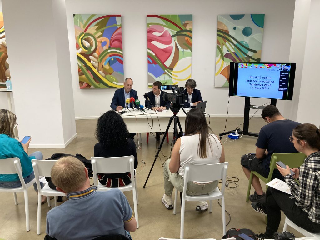 Afrucat previsiones fruta hueso