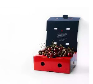 cereza jerte