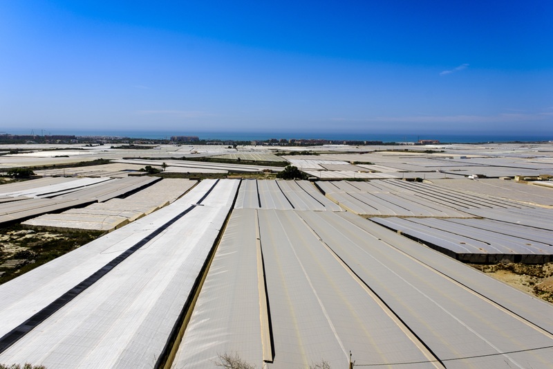 invernaderos almeria