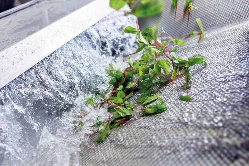 Kronen_Gewea_AF_015_4c