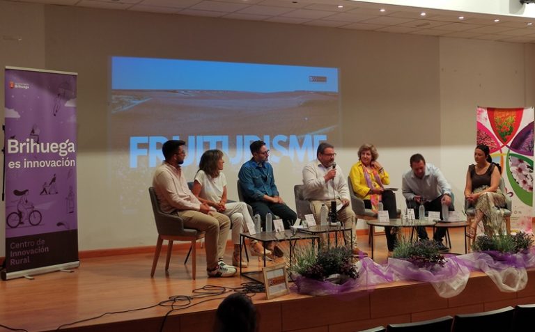 Brihuega cultura en flor - copia