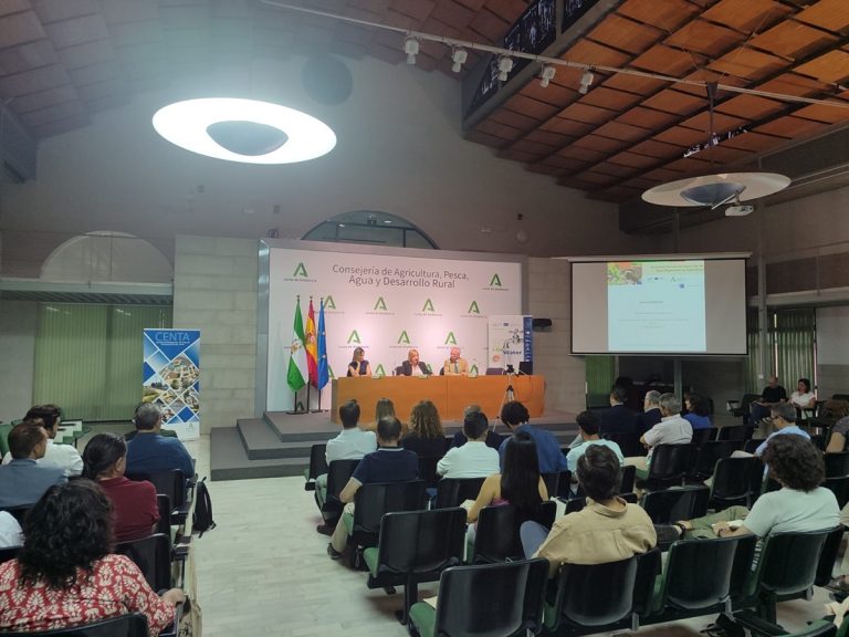 Foto general de la jornada