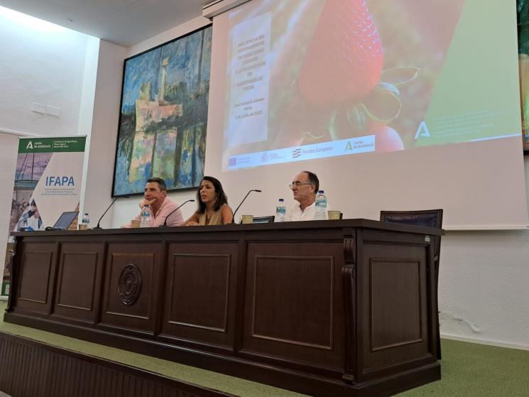 IFAPA comportamiento variedades de fresas