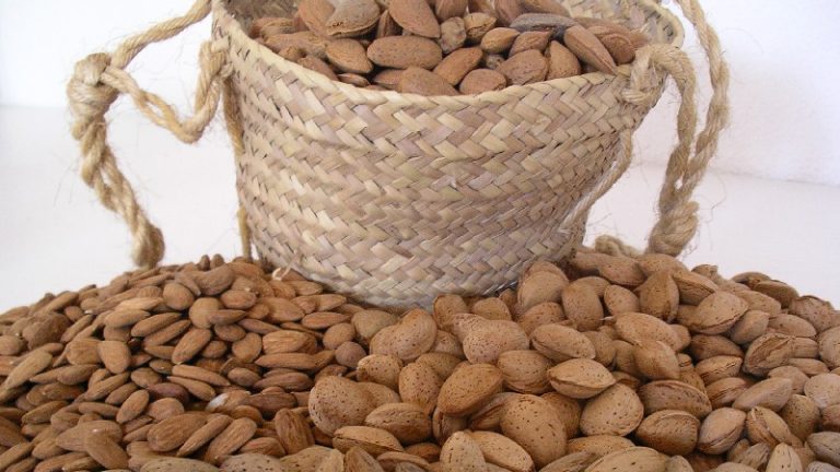 Mandelkerne - coop. agro-alimentarias