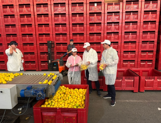limones control importaciones - carm