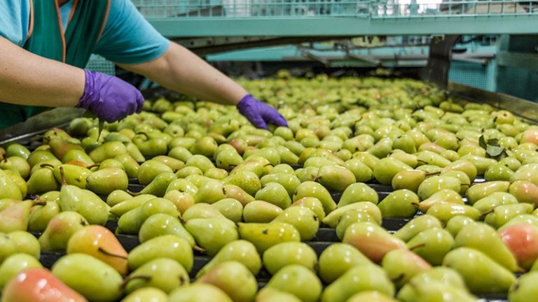 peras - coop agroalimentarias