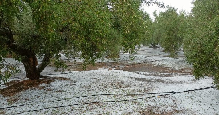 Pedra dissabte La Unio