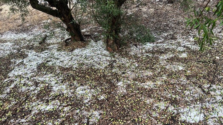 Piedra Moixent Ava-Asaja