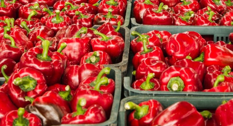 Pimientos rojos