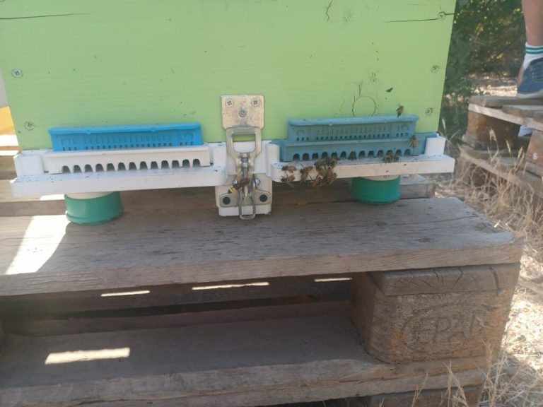 Reduccion-de-piquera-Visita-Chipre-Coag Andalucia