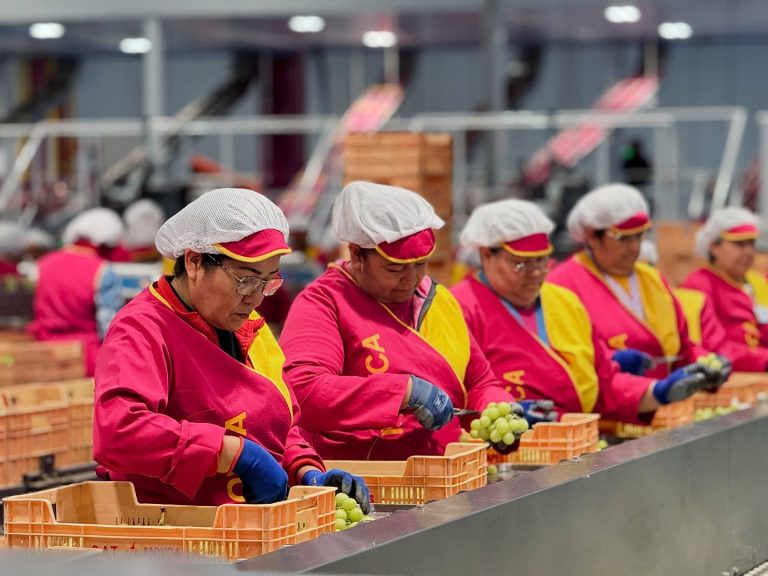 Trabajadores de Moyca confeccionan los diferentes pedidos, en las instalaciones de la firma