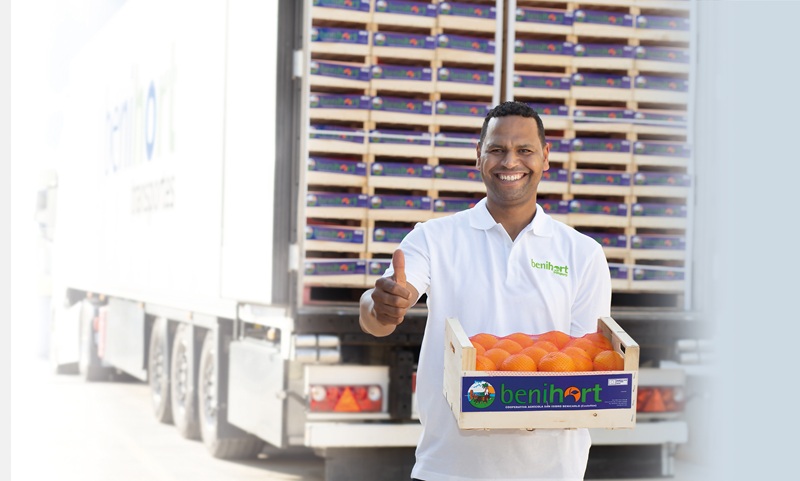 Benihort-Transportes_logistica_RGB