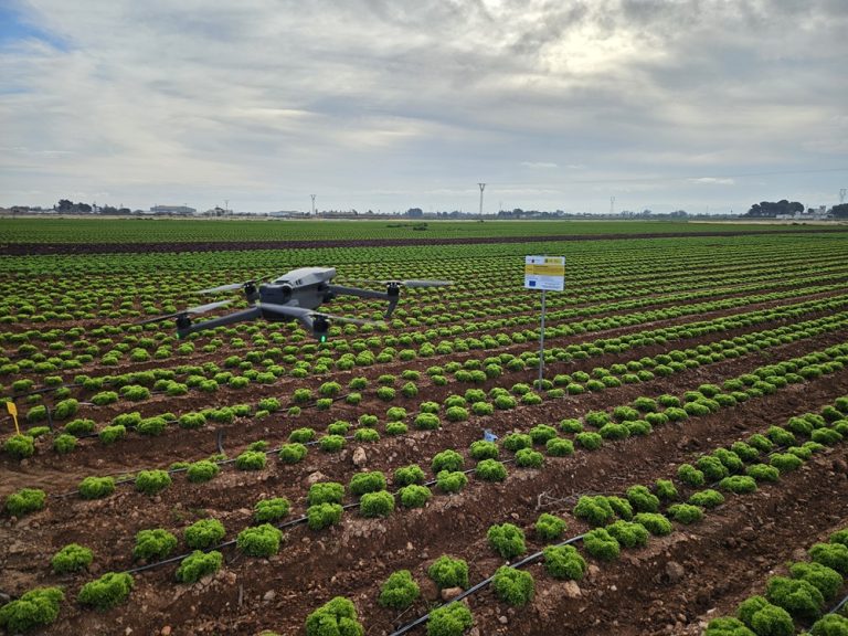 Ensayo Nitrosfera en Fruca con dronlow