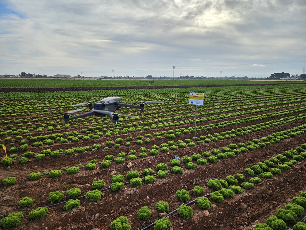 Ensayo Nitrosfera en Fruca con dronlow