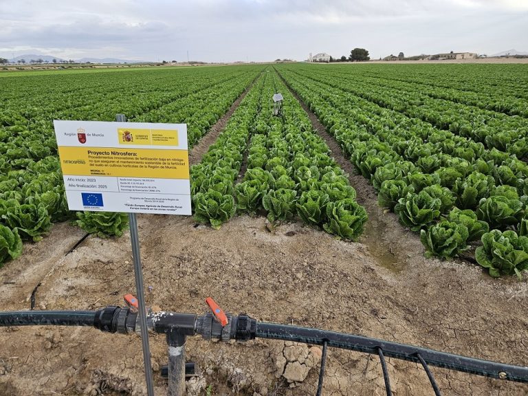 NITROSFERA ensayo Murciana Vegetales