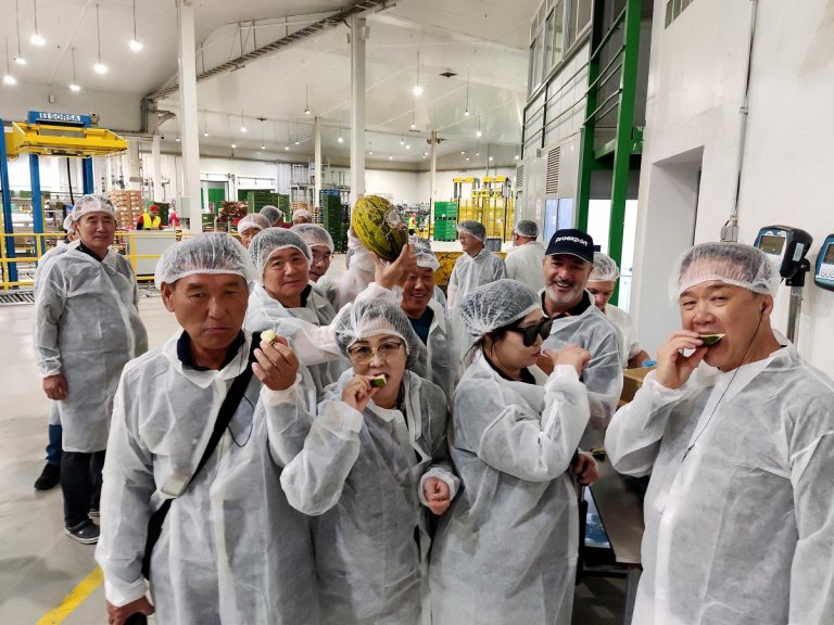 Proexport Productores coreanos visitan Melones El Abuelo