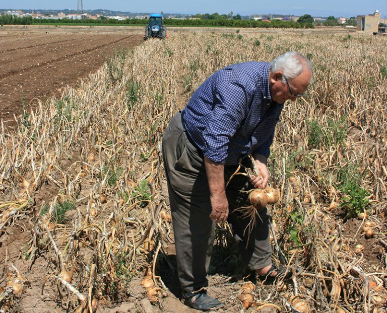 Valencia envejecimiento agricultura ava asaja