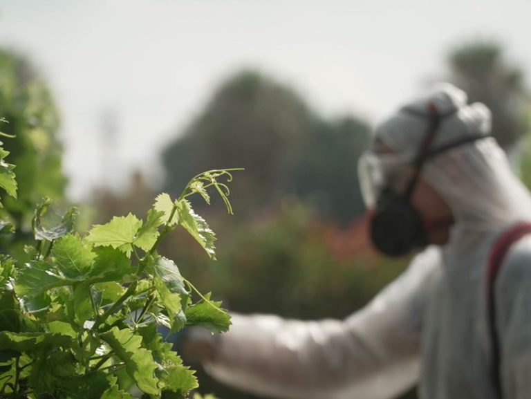 ava_tratamientos_web