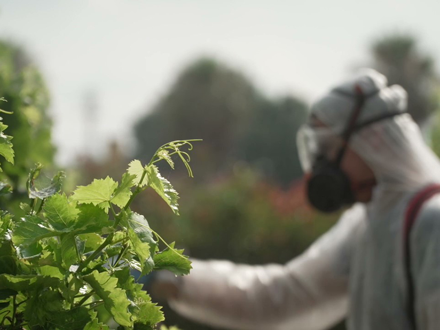 ava_tratamientos_web