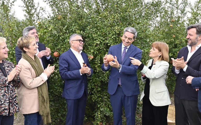 granadasElche inicio campaña 25