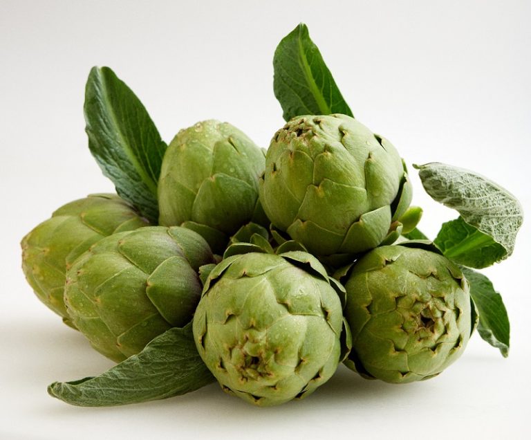 Alcachofa 2 vertical