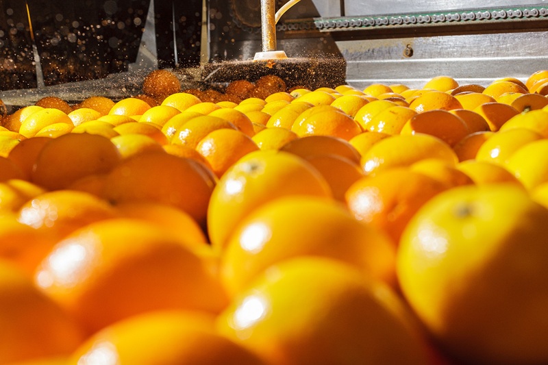 Almacén Frutas Gragón