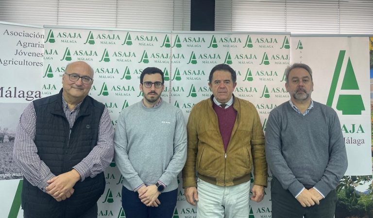 Asaja Málaga Balance 25