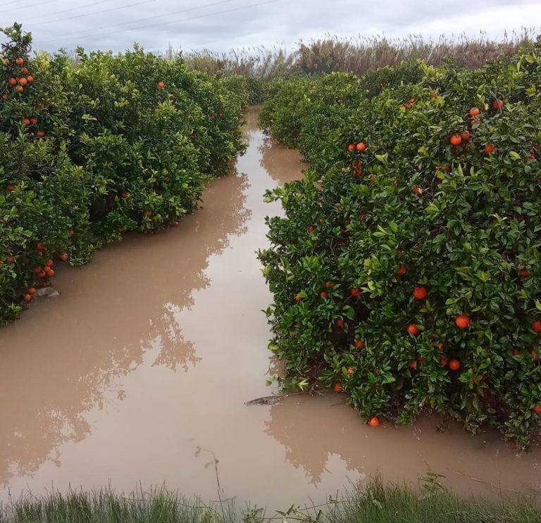 Lluvia 12-25 La Unio
