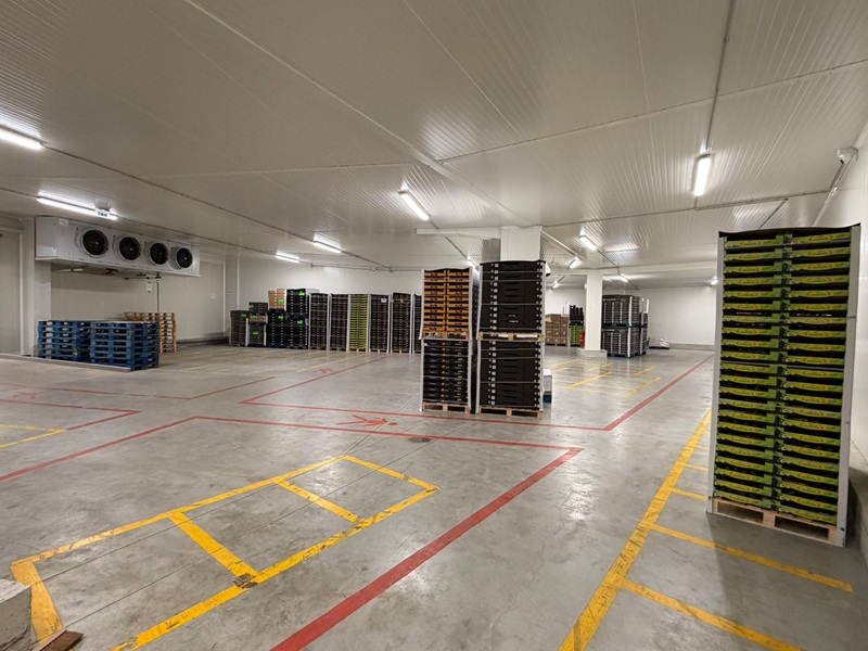 Montosa Almacén Perpignan 2